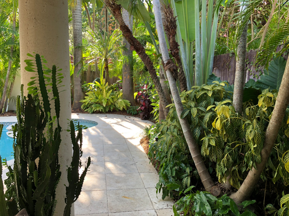Kleiner, Halbschattiger Moderner Gartenweg hinter dem Haus mit Betonboden in Miami