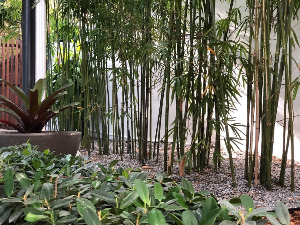 Kleiner, Halbschattiger Moderner Garten in Miami