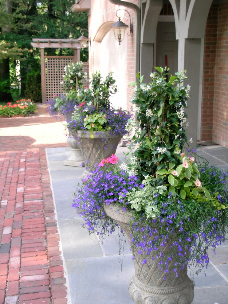 Ispirazione per un piccolo giardino chic in ombra davanti casa in estate con un giardino in vaso e pavimentazioni in pietra naturale