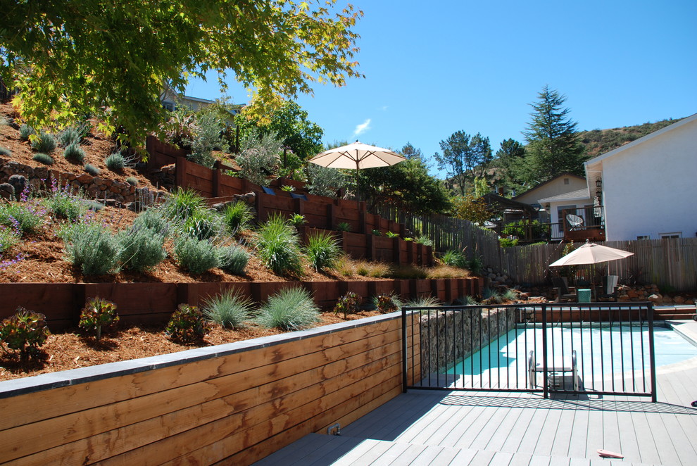 Foto di un giardino contemporaneo esposto in pieno sole di medie dimensioni con un muro di contenimento, un pendio, una collina o una riva e ghiaia
