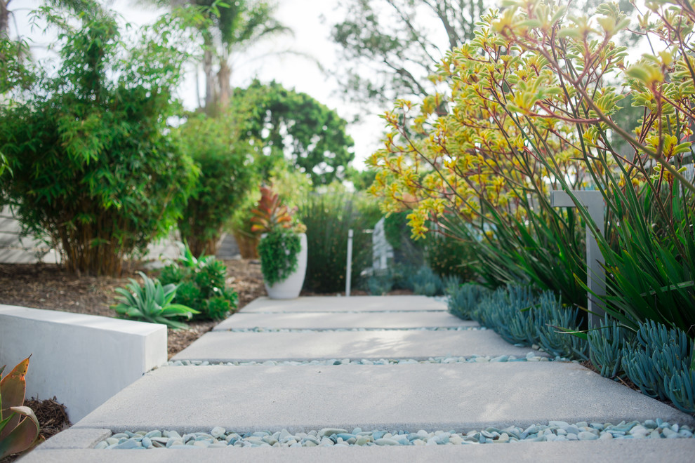 Ispirazione per un grande giardino xeriscape design esposto in pieno sole dietro casa con un ingresso o sentiero