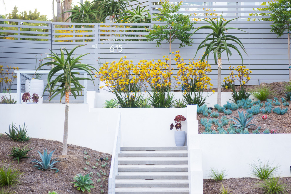Стильный дизайн: большой солнечный засухоустойчивый сад на переднем дворе в современном стиле с садовой дорожкой или калиткой и хорошей освещенностью - последний тренд