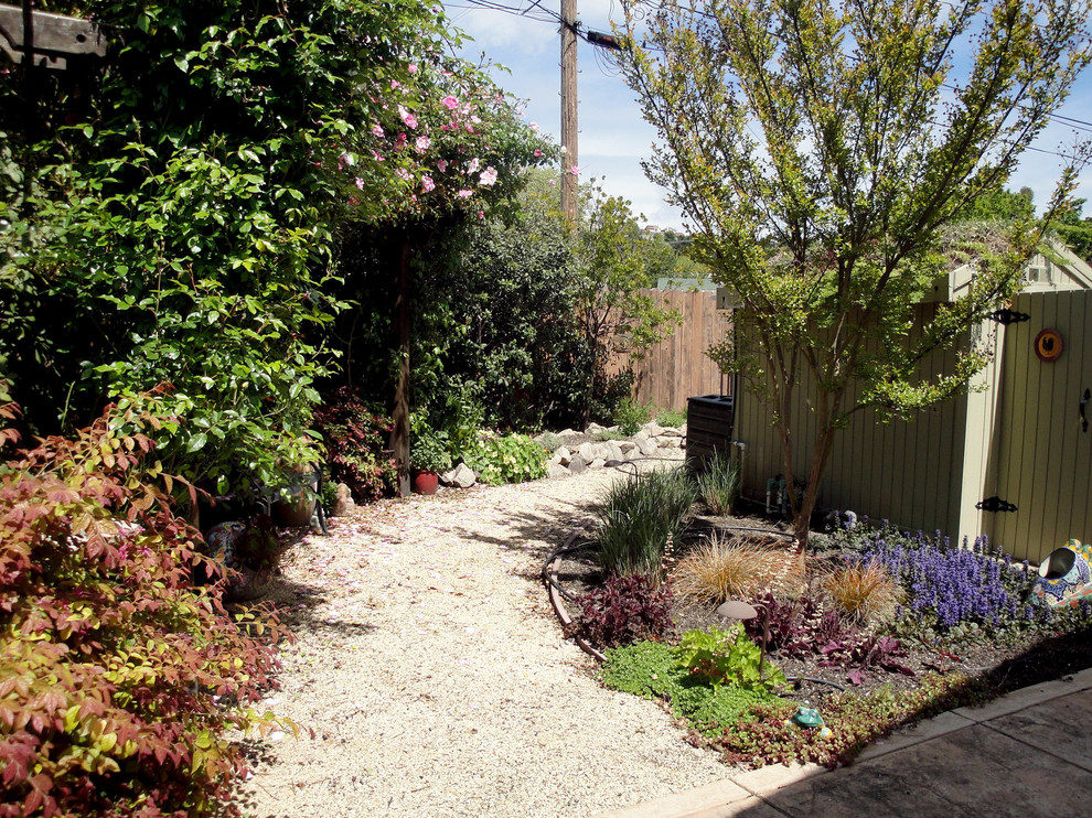 Design ideas for an eclectic landscaping in San Francisco.