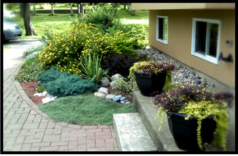 This is an example of a traditional garden in Other.