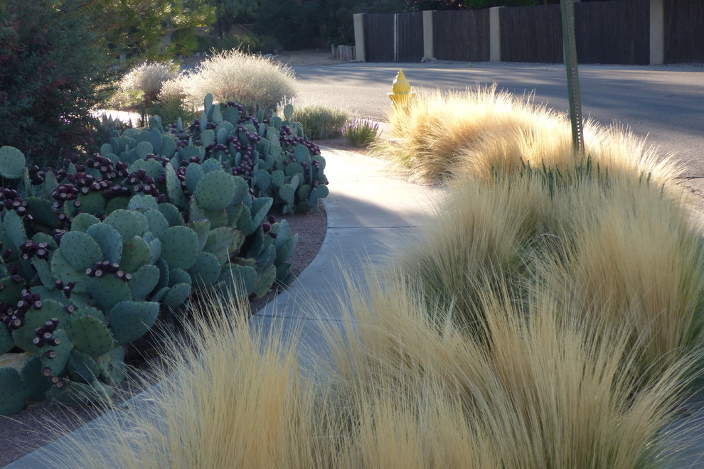 This is an example of a garden in Albuquerque.