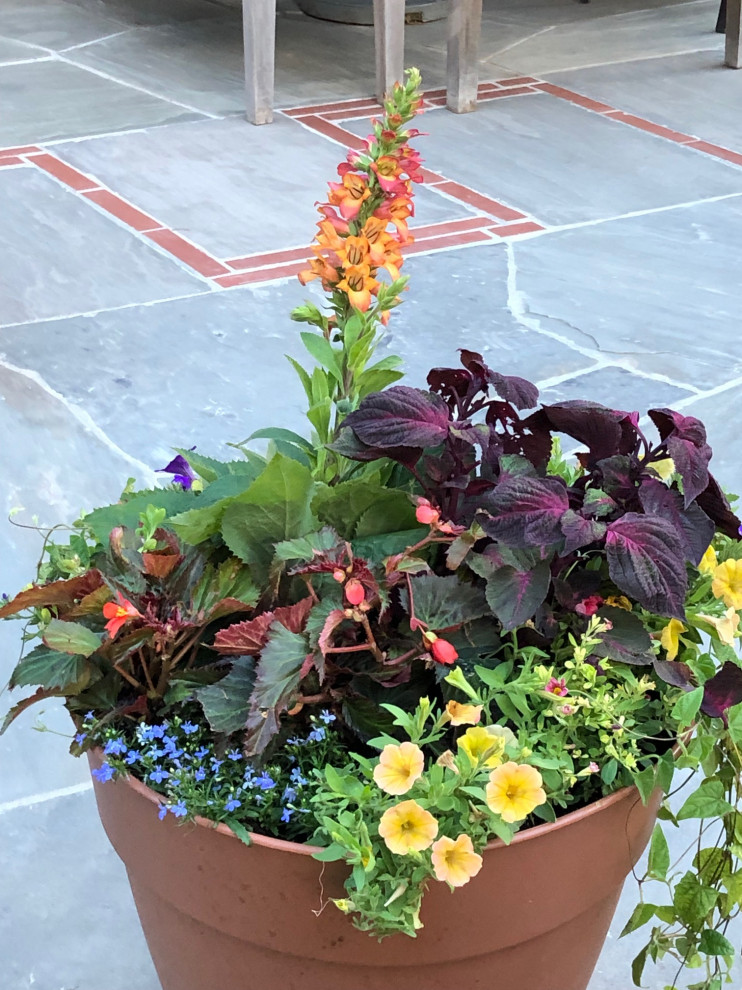 Idee per un piccolo giardino design esposto in pieno sole dietro casa in estate con un giardino in vaso e pavimentazioni in pietra naturale
