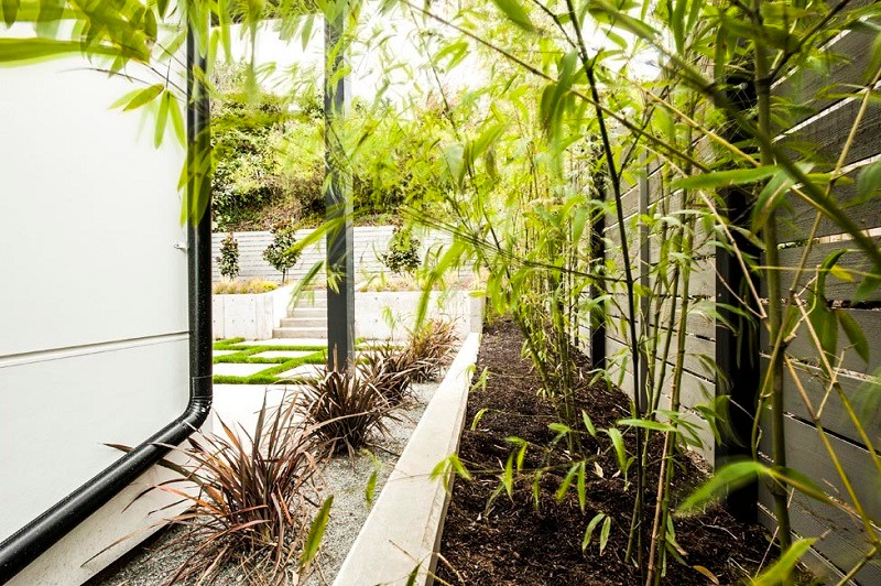 Idée de décoration pour un grand jardin latéral asiatique avec une exposition partiellement ombragée et des pavés en béton.