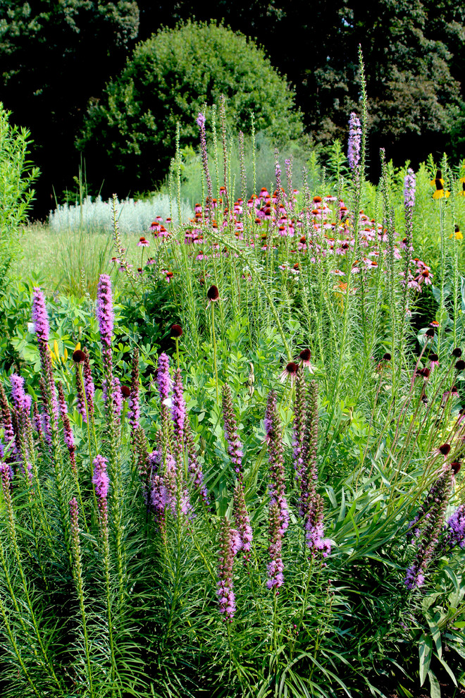 Geräumiger Landhaus Garten im Sommer mit Auffahrt und direkter Sonneneinstrahlung in Washington, D.C.