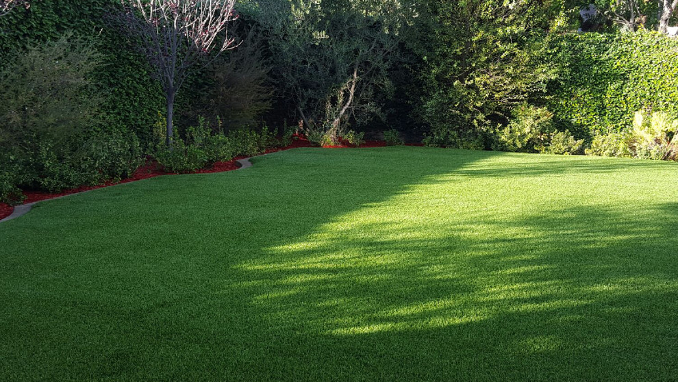 Photo of a medium sized classic back xeriscape garden in Orange County.