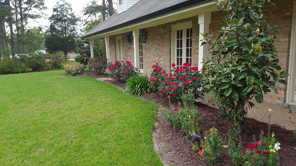 Photo of a mid-sized traditional partial sun backyard mulch formal garden in New Orleans for summer.