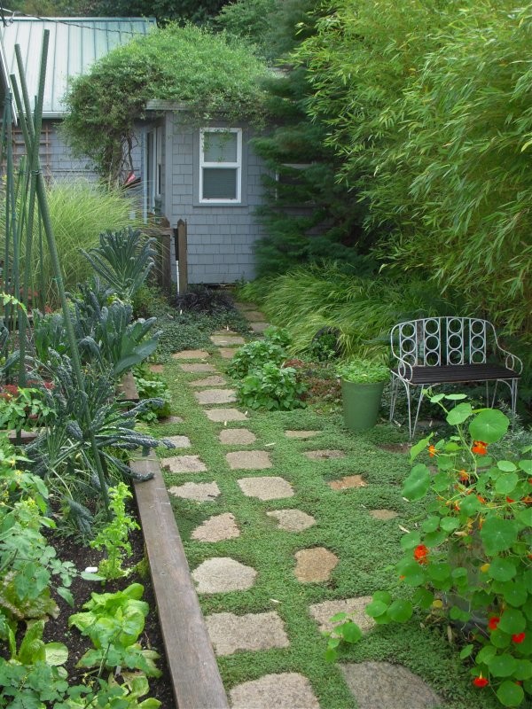 Inspiration för en liten maritim trädgård i delvis sol längs med huset, med naturstensplattor och en köksträdgård