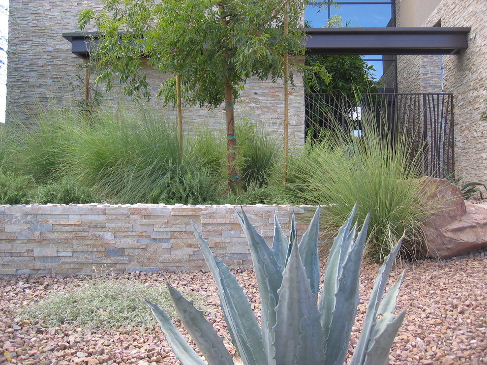 Vegas Residence Modern Landscape Las Vegas by Sage Design Studios, Inc. Houzz