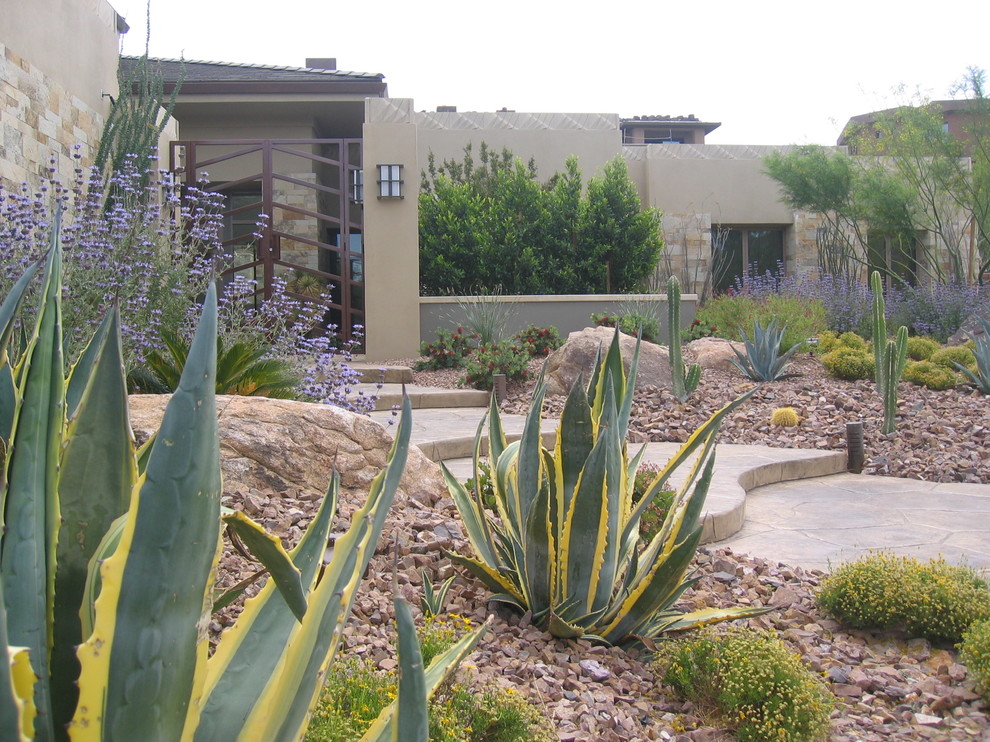 This is an example of a modern landscaping in Las Vegas.