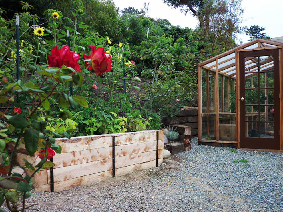Пример оригинального дизайна: солнечный огород на участке среднего размера на заднем дворе в классическом стиле с хорошей освещенностью и покрытием из гравия