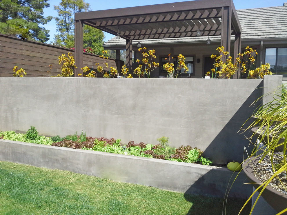 Großer Moderner Gemüsegarten hinter dem Haus mit direkter Sonneneinstrahlung in San Diego