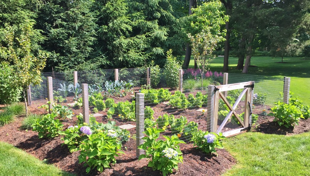 Cette photo montre un jardin arrière chic l'été avec une exposition ensoleillée.
