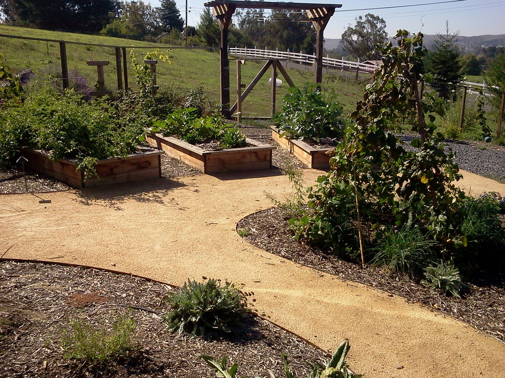 Diseño de jardín rústico de tamaño medio en verano en patio trasero con huerto, jardín francés, exposición total al sol y gravilla