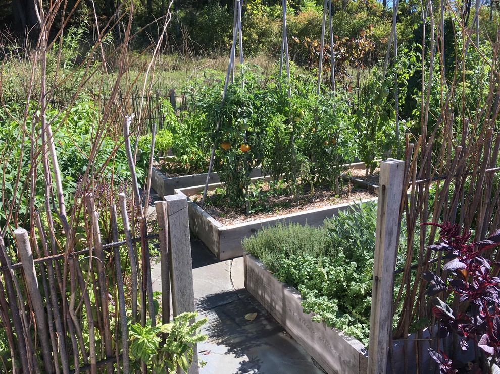 Kleiner, Geometrischer Klassischer Gemüsegarten im Sommer, hinter dem Haus mit direkter Sonneneinstrahlung und Natursteinplatten in Burlington