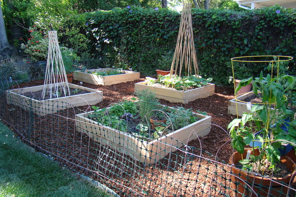 Imagen de jardín clásico de tamaño medio en verano en patio trasero con huerto, exposición parcial al sol y mantillo