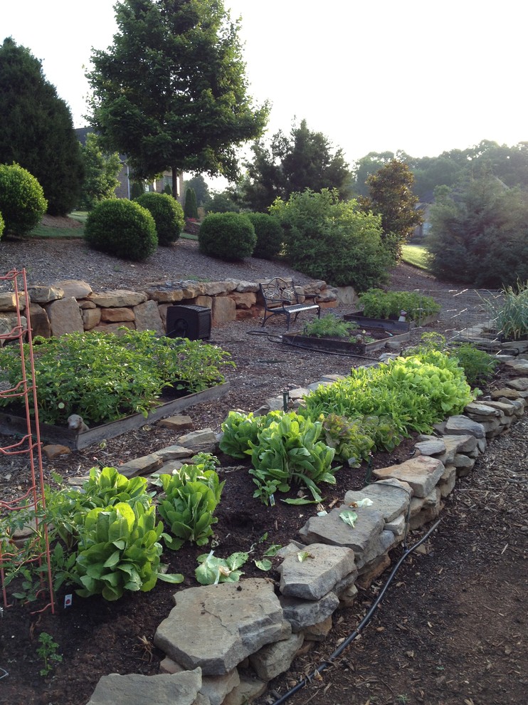 Свежая идея для дизайна: огород на участке на заднем дворе в классическом стиле - отличное фото интерьера