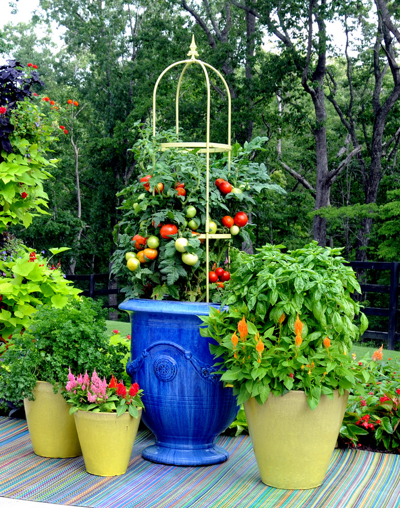 Idée de décoration pour un jardin en pots tradition.