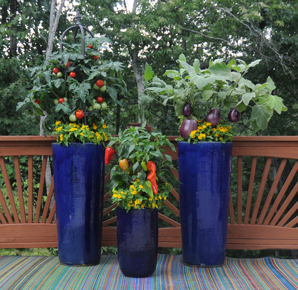 Immagine di un giardino tradizionale con un giardino in vaso