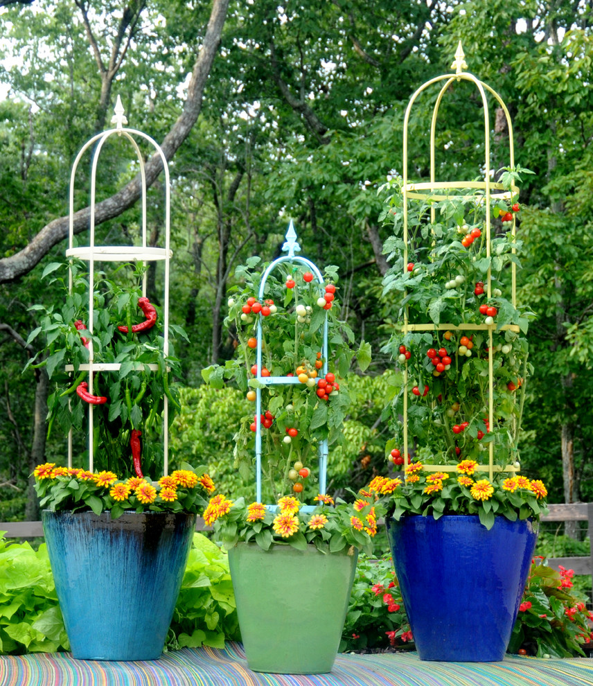Свежая идея для дизайна: участок и сад в стиле неоклассика (современная классика) с растениями в контейнерах - отличное фото интерьера