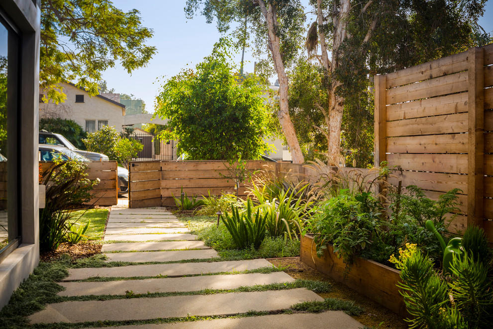 Kleiner Moderner Garten in Los Angeles