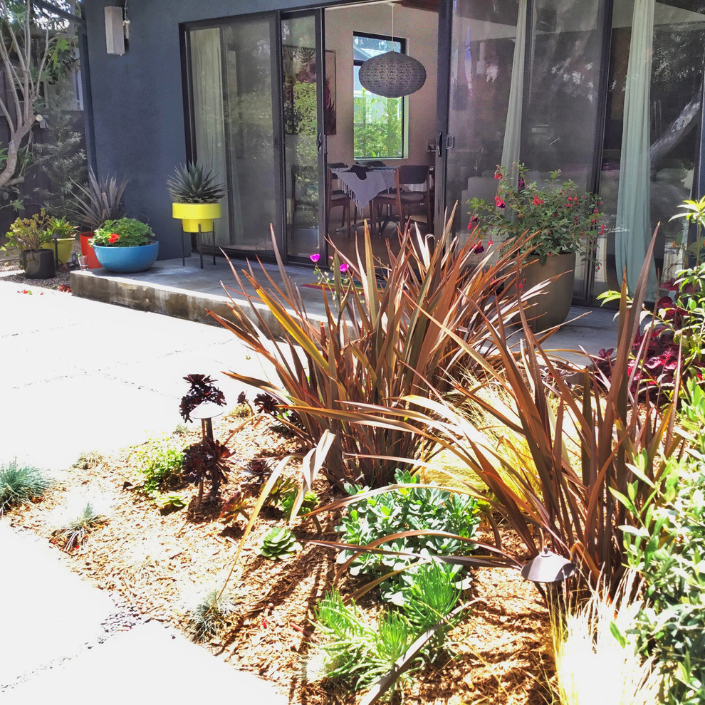 Свежая идея для дизайна: летний засухоустойчивый сад среднего размера на заднем дворе в стиле ретро с садовой дорожкой или калиткой, полуденной тенью и мощением тротуарной плиткой - отличное фото интерьера