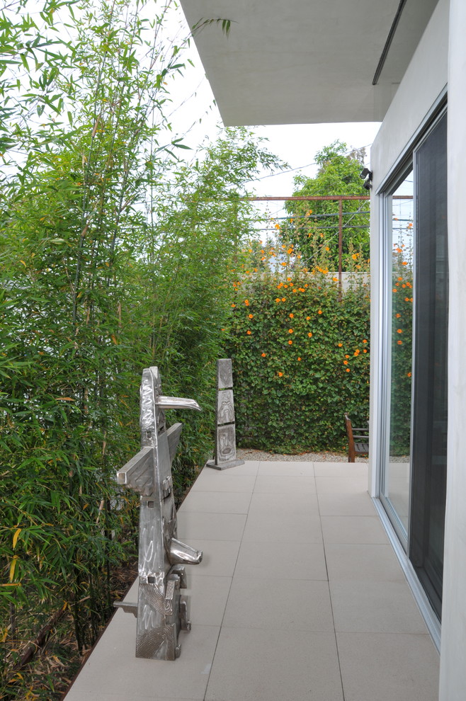 This is an example of a modern garden in Los Angeles.