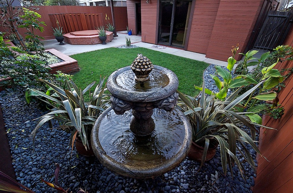 Photo of a contemporary garden in Los Angeles.