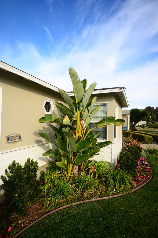 Ventura Landscape Revival Traditional Landscape Los Angeles by