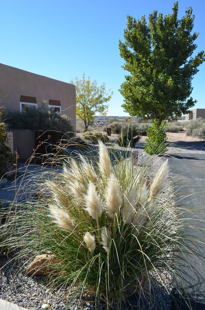 Großer Mediterraner Garten neben dem Haus mit direkter Sonneneinstrahlung in Albuquerque