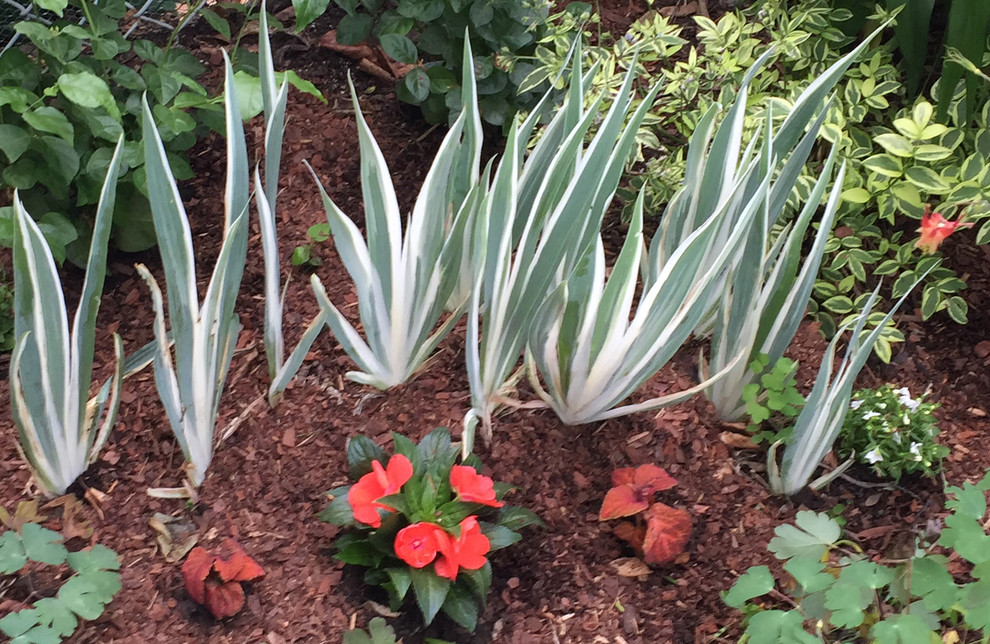 Diseño de jardín en verano en patio trasero con exposición parcial al sol y adoquines de hormigón