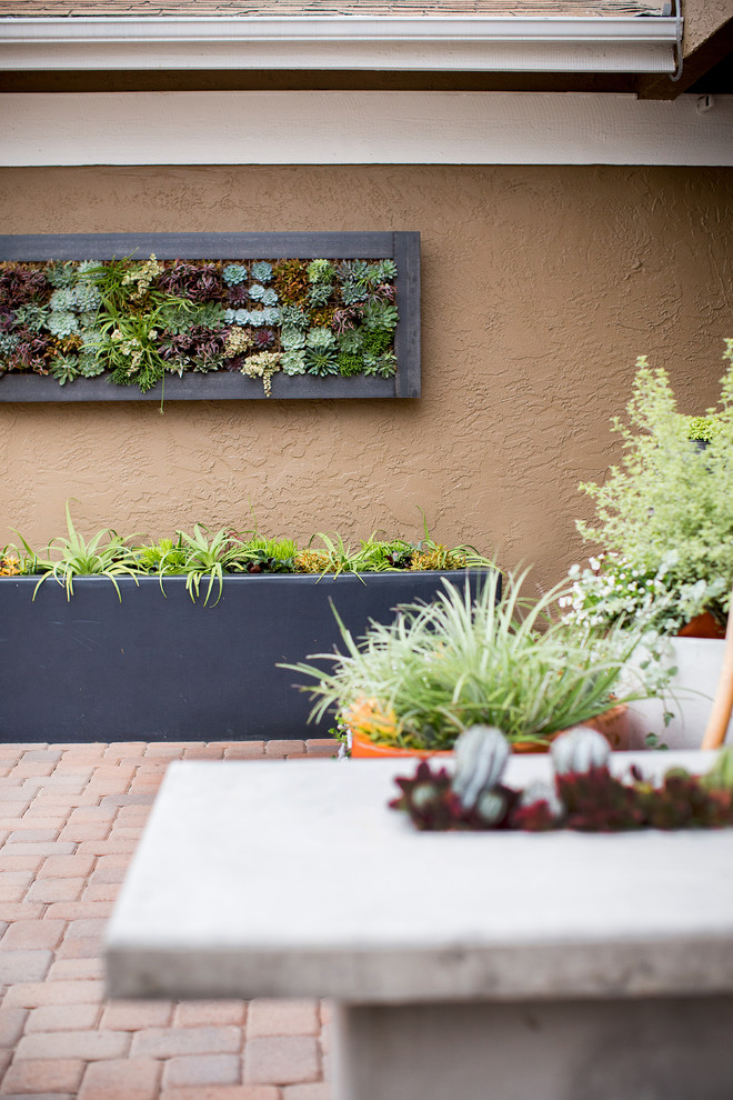 Vertical Garden Design & Ideas Modern Landscape San Diego by