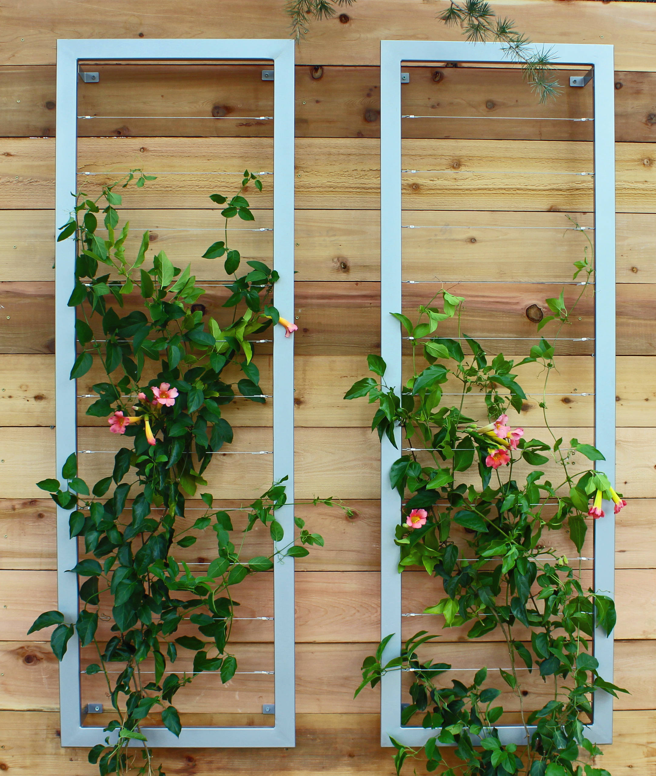 8 Trellis Ideas to Give You Garden Envy | Houzz UK