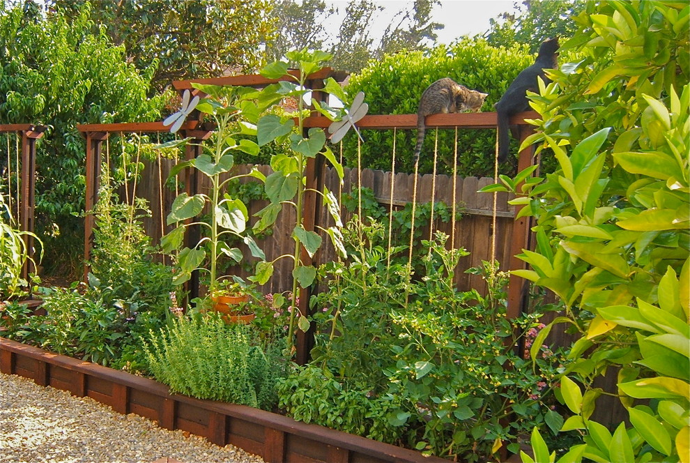 This is an example of a small rustic full sun backyard gravel vegetable garden landscape in San Francisco for summer.