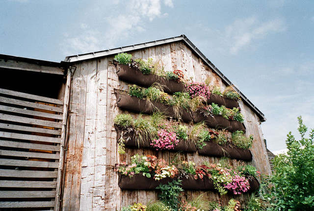 Vertical Gardening Ideas How To Make A Vertical Garden Country Living Garden Other By Burgis Associates Inc