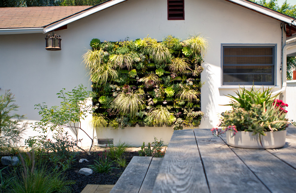 Ejemplo de jardín de secano costero grande en patio trasero con jardín vertical y mantillo