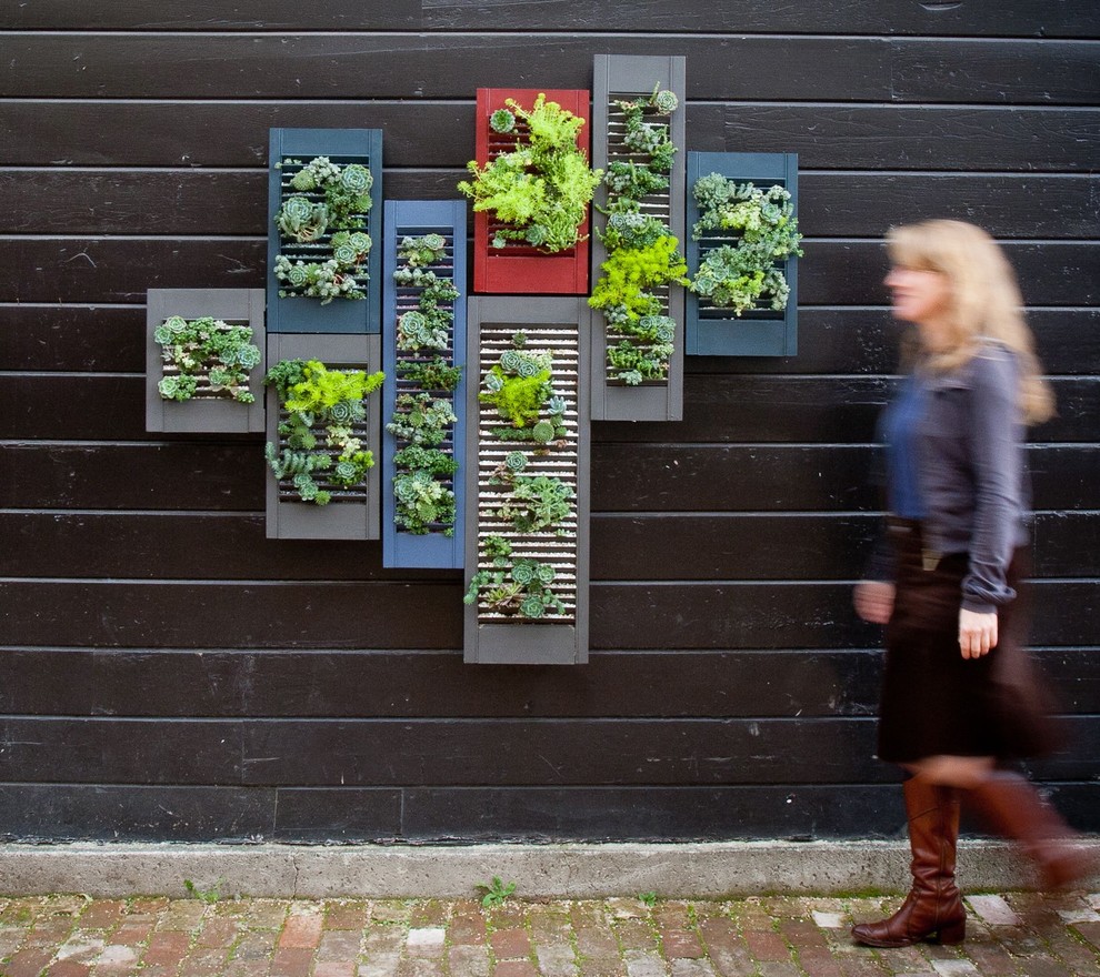 Photo of a bohemian garden in San Francisco with brick paving.