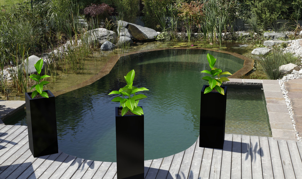 Свежая идея для дизайна: большой солнечный регулярный сад на заднем дворе в современном стиле с растениями в контейнерах, хорошей освещенностью и настилом - отличное фото интерьера