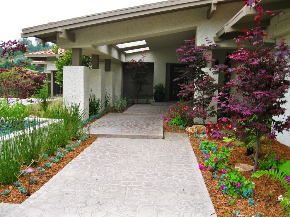 Diseño de camino de jardín de secano contemporáneo grande en patio delantero con exposición parcial al sol