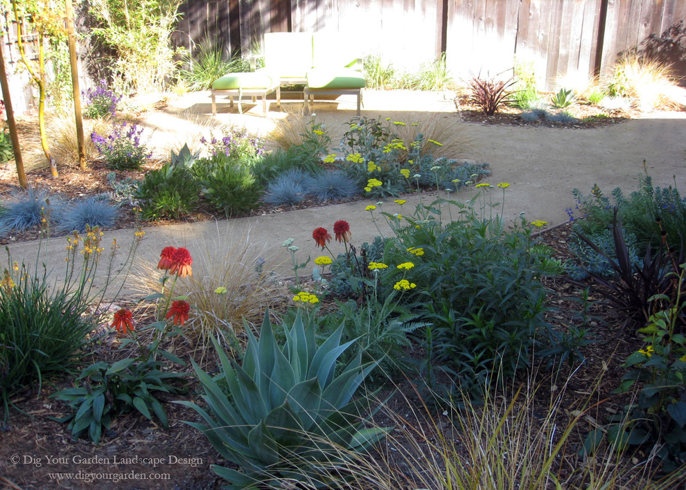 Photo of a medium sized mediterranean back full sun garden for spring in San Francisco with an outdoor sport court and a garden path.