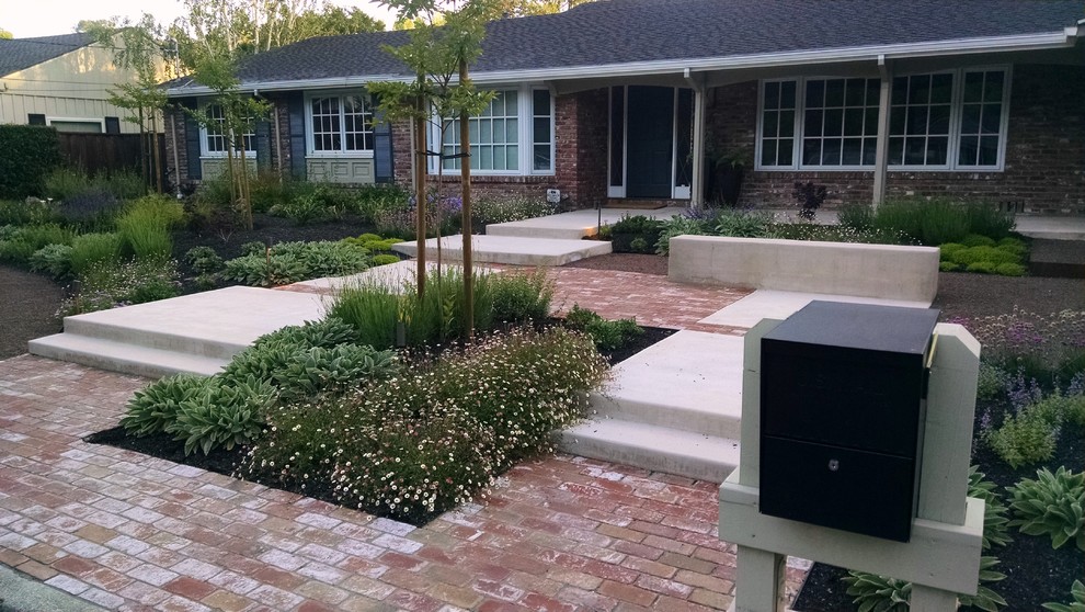 Vicki's Quilted Entry Garden Contemporary Landscape Sacramento