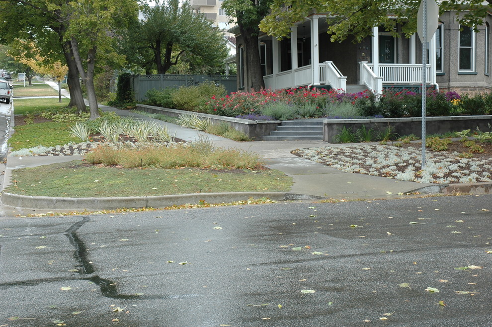 Immagine di un giardino xeriscape vittoriano esposto in pieno sole di medie dimensioni e davanti casa in estate con un ingresso o sentiero e pavimentazioni in cemento