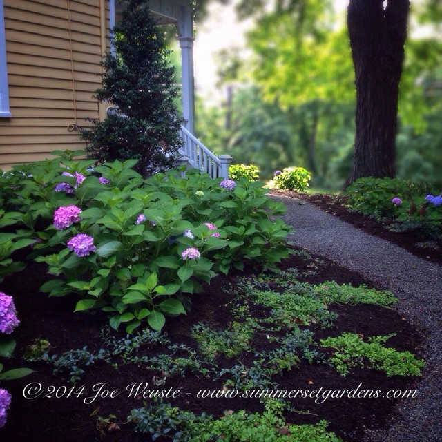 Victorian Front Yard Landscape Design Clásico Jardín Nueva York