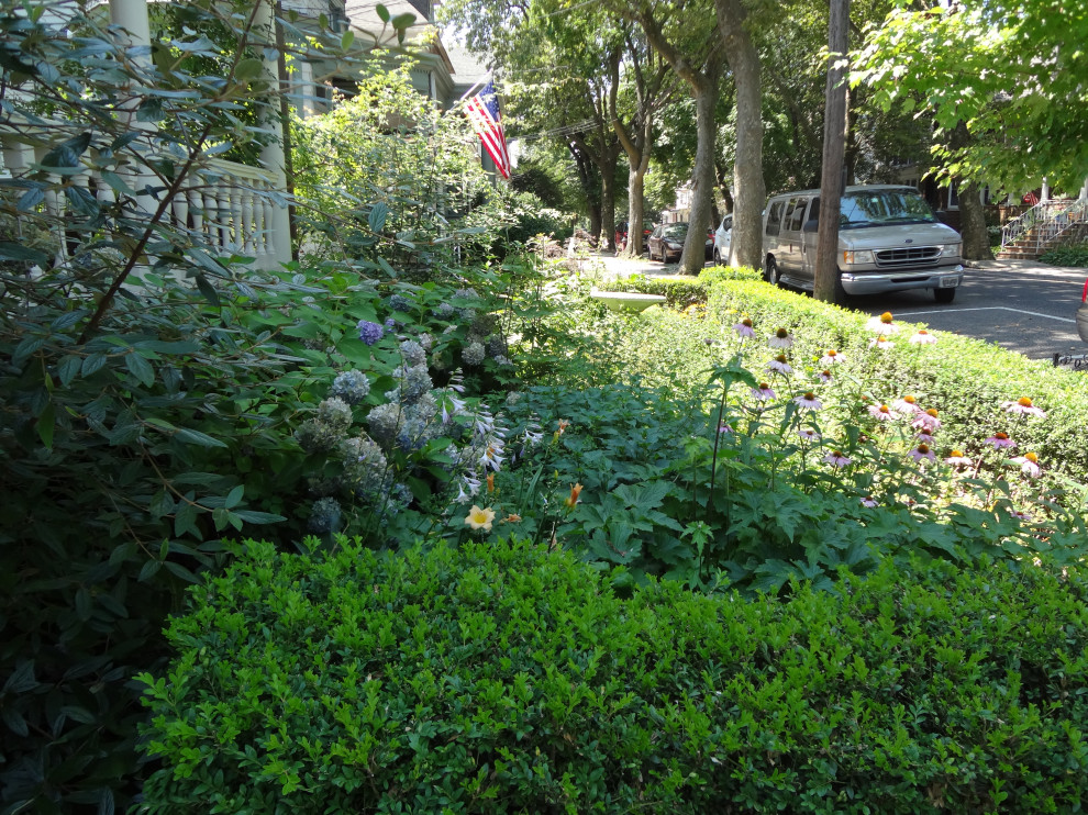 Свежая идея для дизайна: участок и сад на переднем дворе с полуденной тенью - отличное фото интерьера