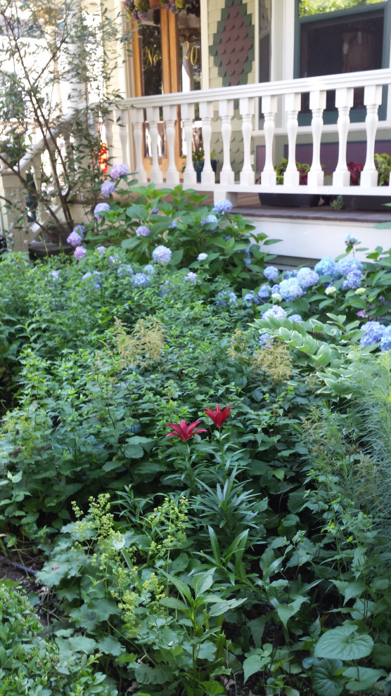 Idee per un giardino vittoriano esposto a mezz'ombra di medie dimensioni con pedane