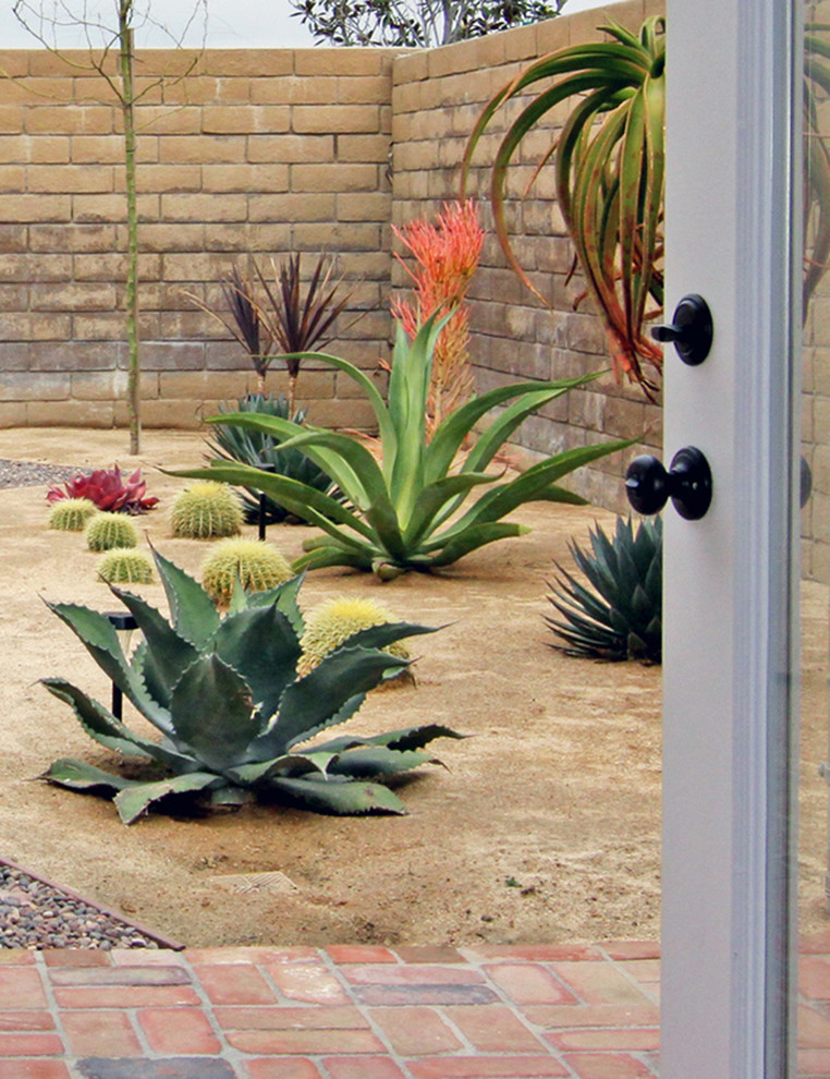 Ejemplo de jardín de secano de estilo americano con exposición total al sol