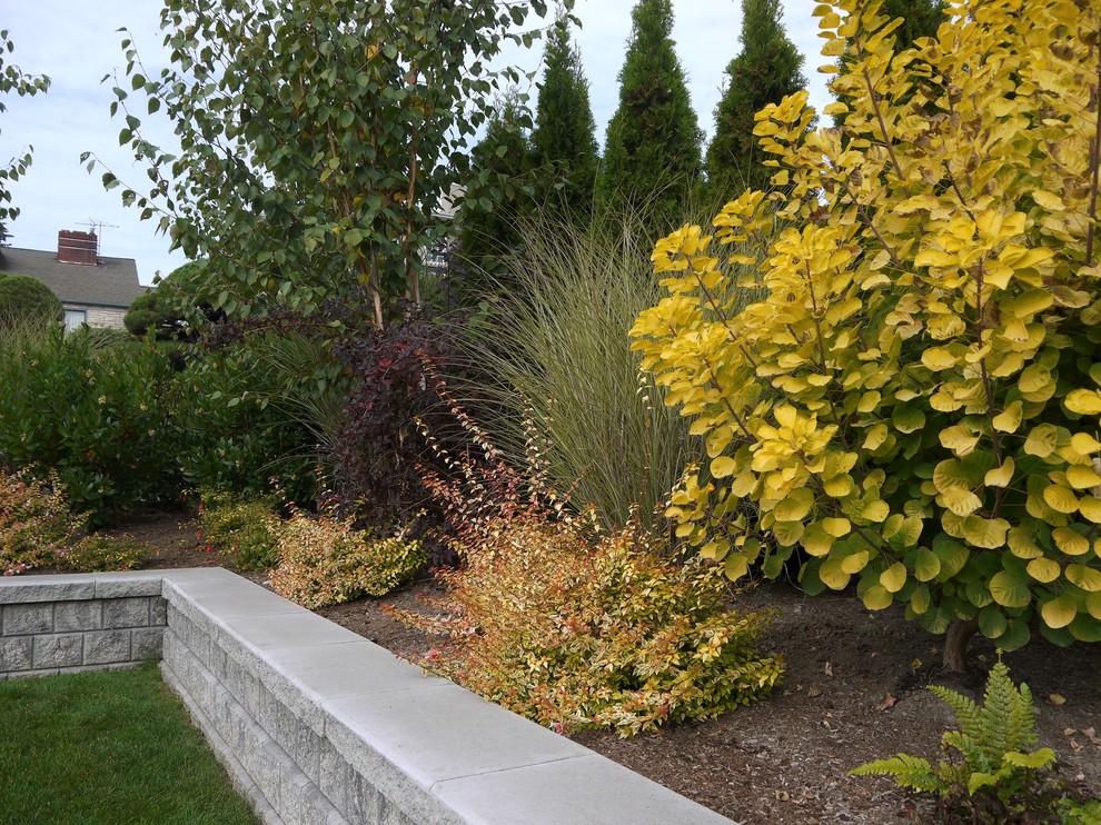 Imagen de jardín contemporáneo de tamaño medio en otoño en patio delantero con muro de contención, exposición total al sol y adoquines de hormigón